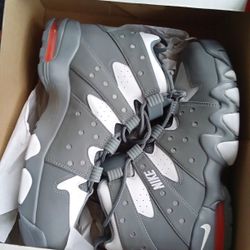 Charles Barkley Nikes