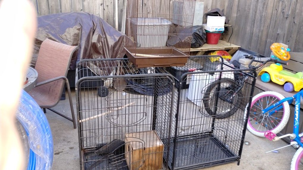 Cage Birds
