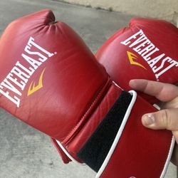 Everlast MX 16oz Gloves 