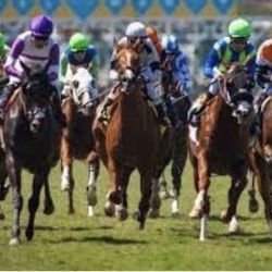 Del Mar Opening Day ~ 2 Hard Tickets Stretch Run Grill West