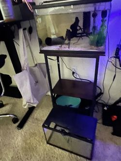 5 & 10 gallon aquarium tanks with accessories and stand