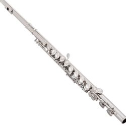 Flute, Silverplated - $125