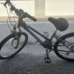 Schwinn Women’s Bike