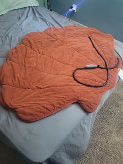 Vagascape waterproof heated dog blanket