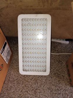 Indoor growing lights