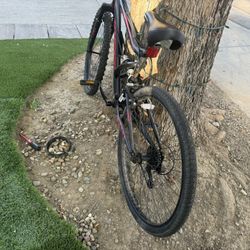 Mountain Bike