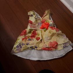 Girls Floral Dress
