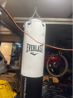 EVERLAST PUNCHING BAG