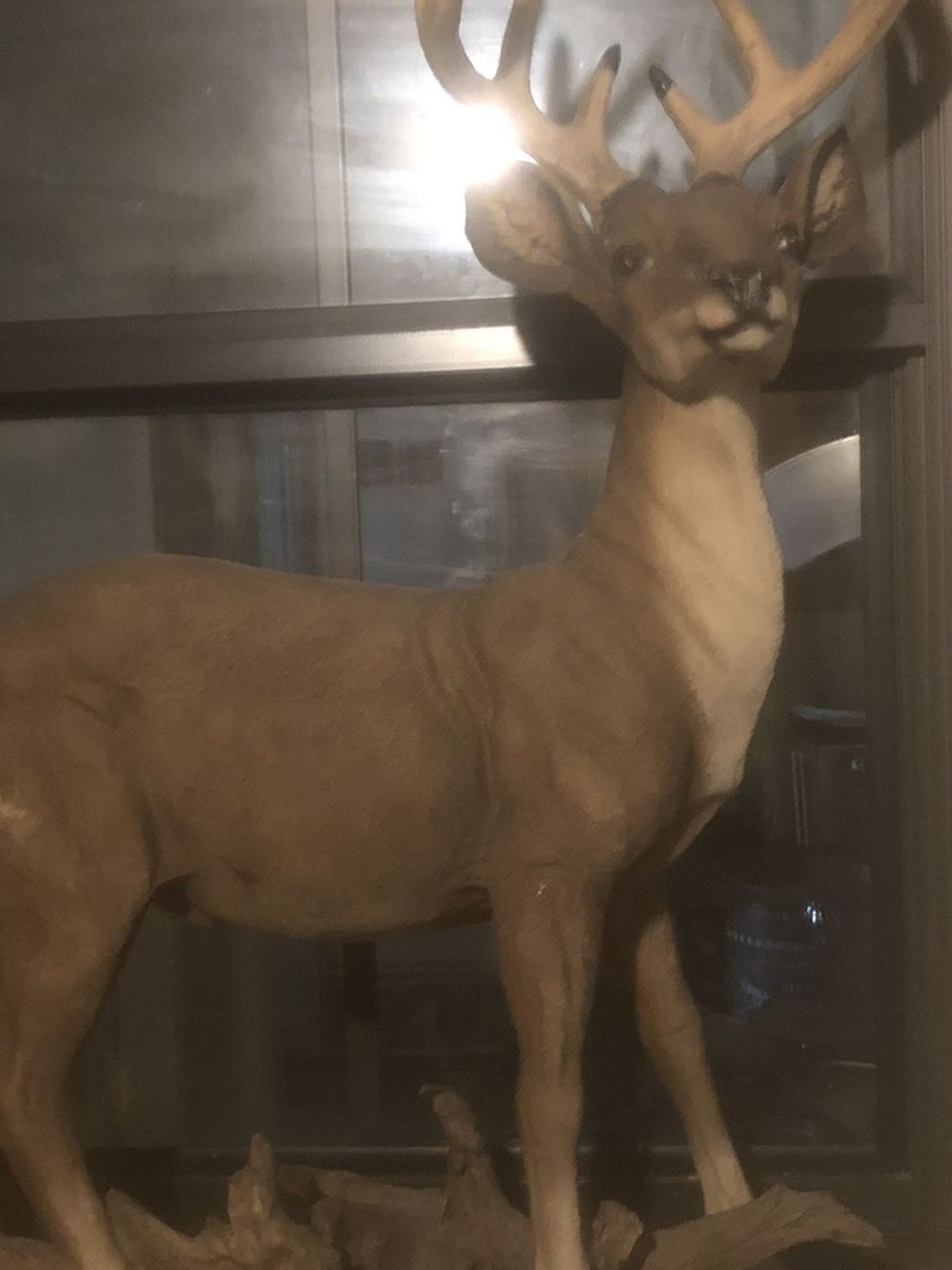 Deer Statue