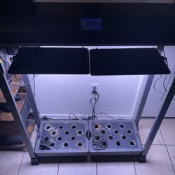 AeroGarden Farm 24 XL