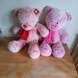 Two Big Teddy Bears 