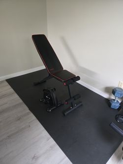 Yoleo Bench And Bike