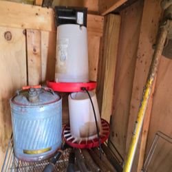 Chicken Feeder, Heated Waterer And Feed Scoop
