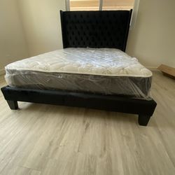Queen Size All Types Of Furniture 