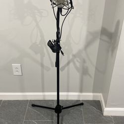 Samson mic