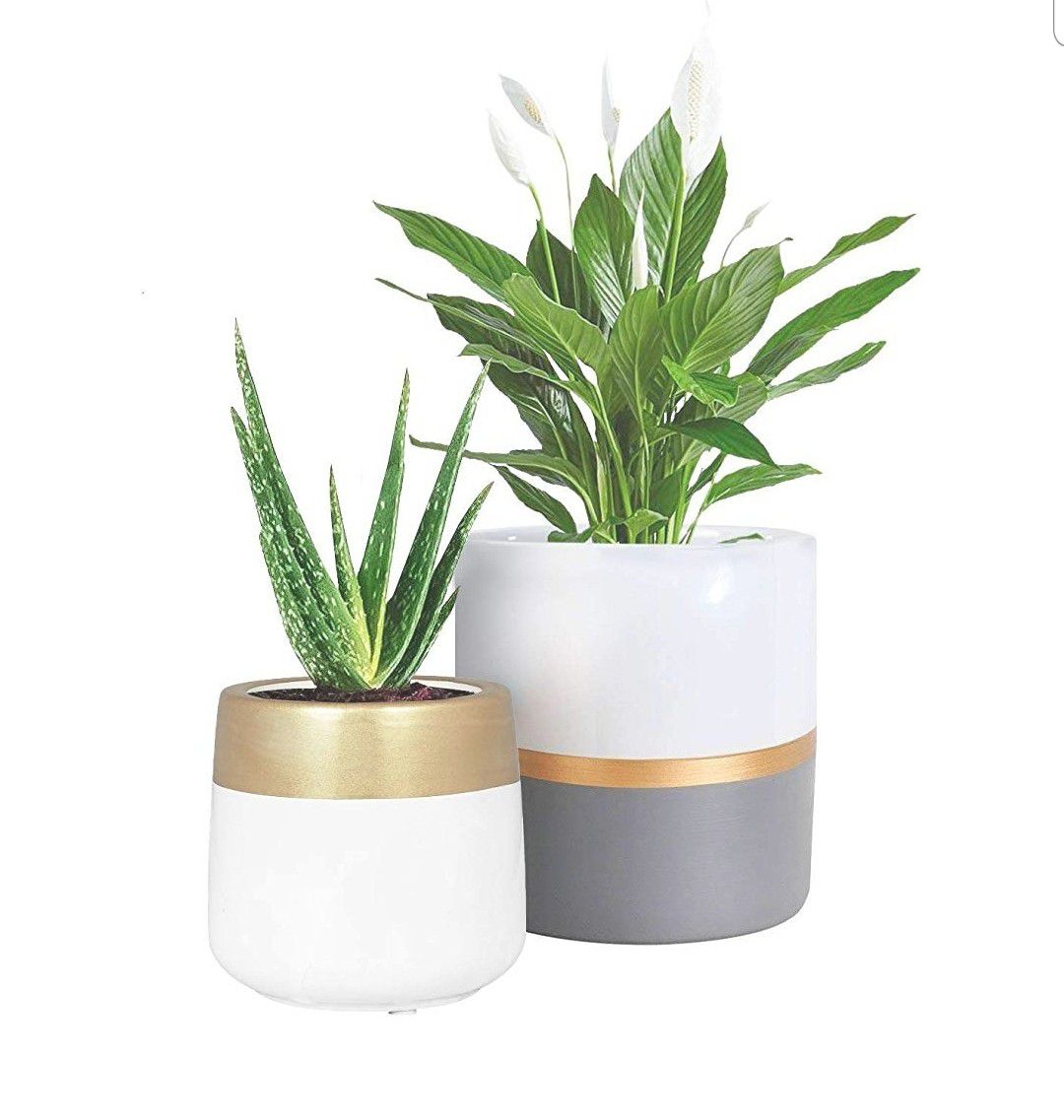 Planter Pots Indoor with Drainage Hole