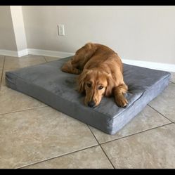 large memory foam dog bed