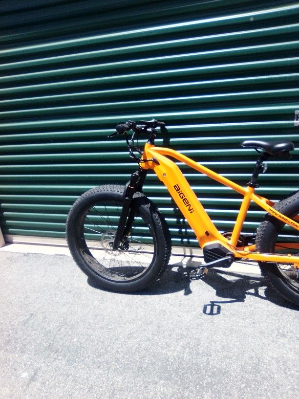 Electric Bike AIGENI