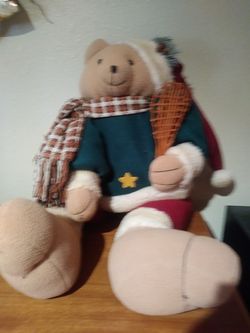 Snowshoe carrying plush teddy