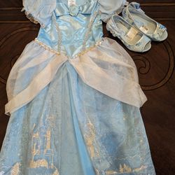 Cinderella Costume 