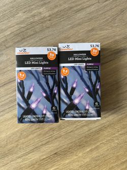 LED Mini Christmas Lights