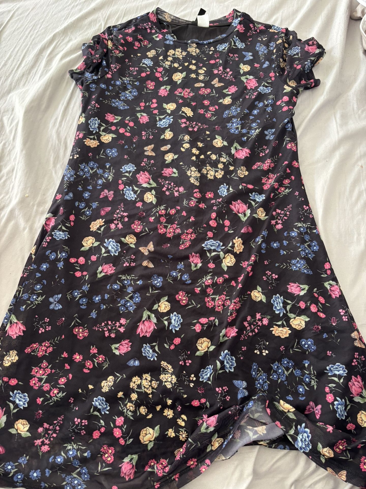 Adult Medium