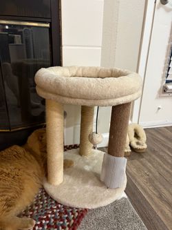 Cat tree
