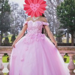  Quinceanera Dresses Ball Gowns for Women  Size 2 