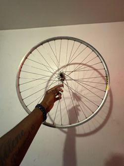 Open pro mavic rims