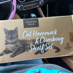 Cat Hammock And Climbing Shelf Set 