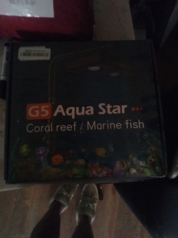 Fish Tank