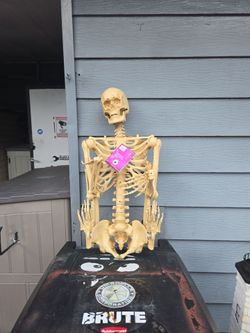 (New) posable skeleton with LED lights