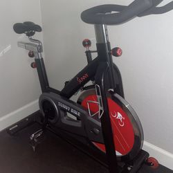 Sunny exercise bike