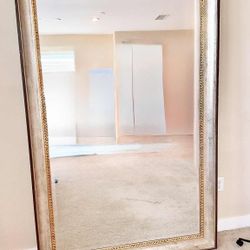 Large Dining Or Living Room Mirror