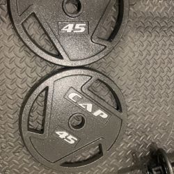 Set Of 45 Lb Iron Plates