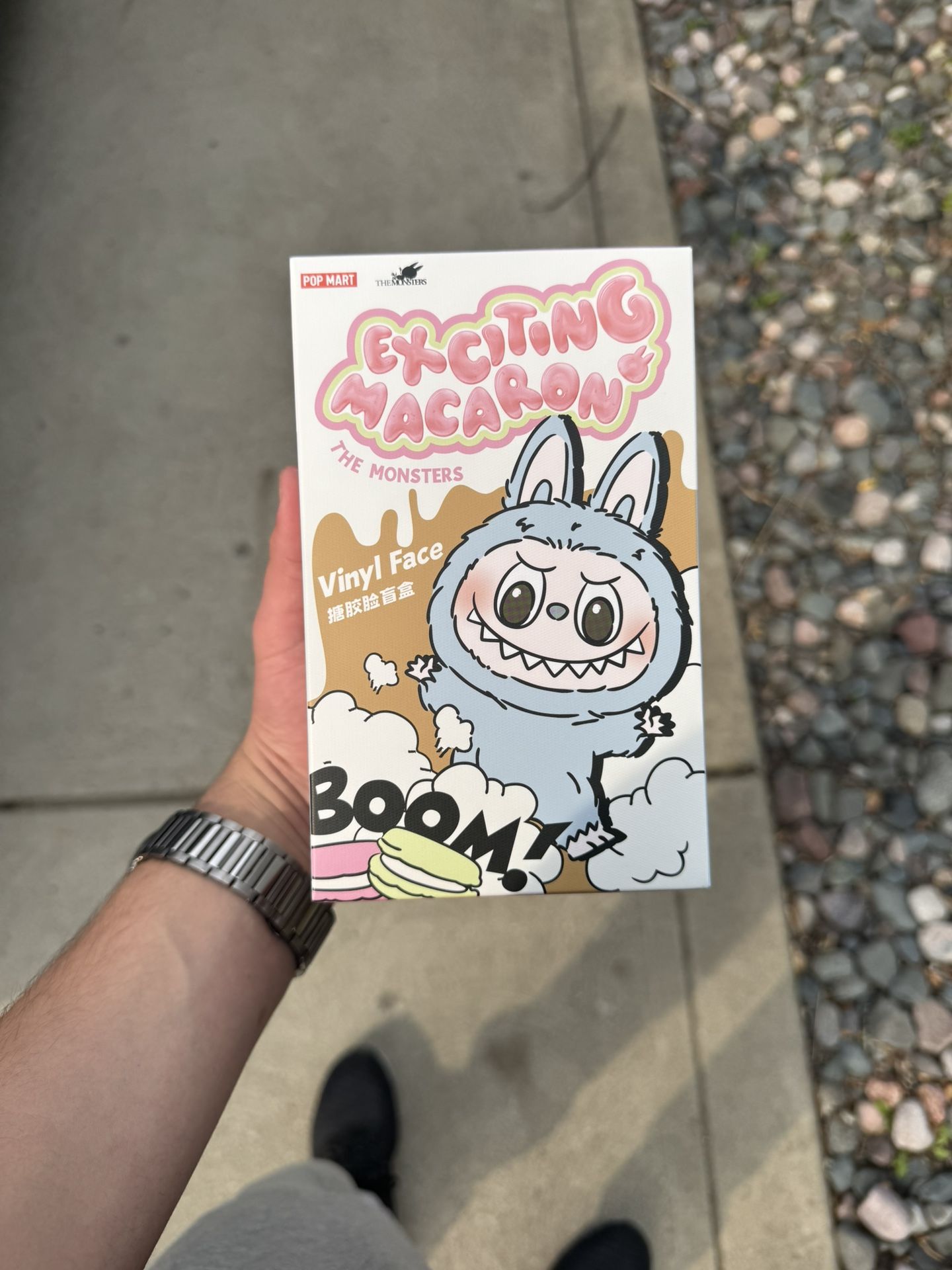 Authentic Exciting Macaron Labubu New and Sealed
