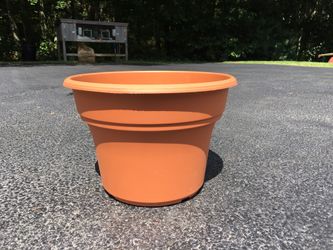Plaster planter