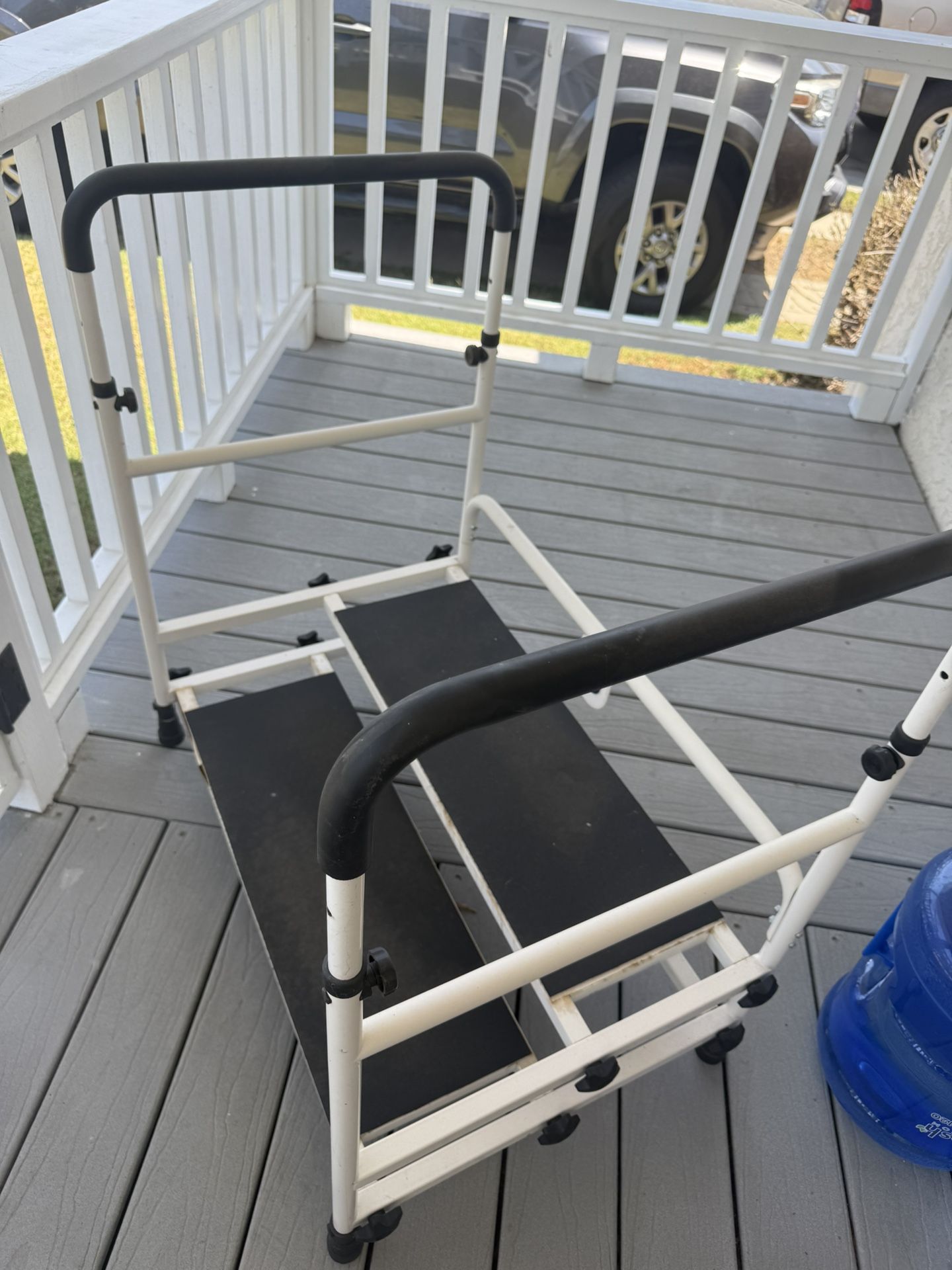 Handicap steps
