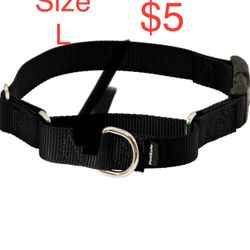 PetSafe Martingale Collar with Quick Snap Buckle, 1" Large, Black
