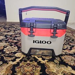 Igloo 24 Qt