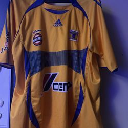 Tigers 2010 Jersey Size Xl Short Sleeve 