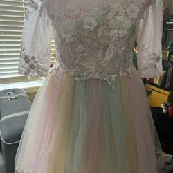 Fancy Embroidered Dress