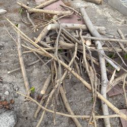 Firewood