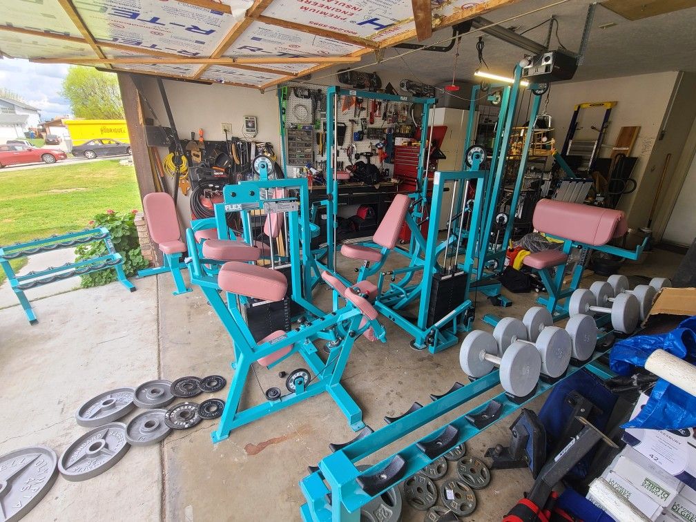 Flex Fitness Rare Commercial Gym Equipment