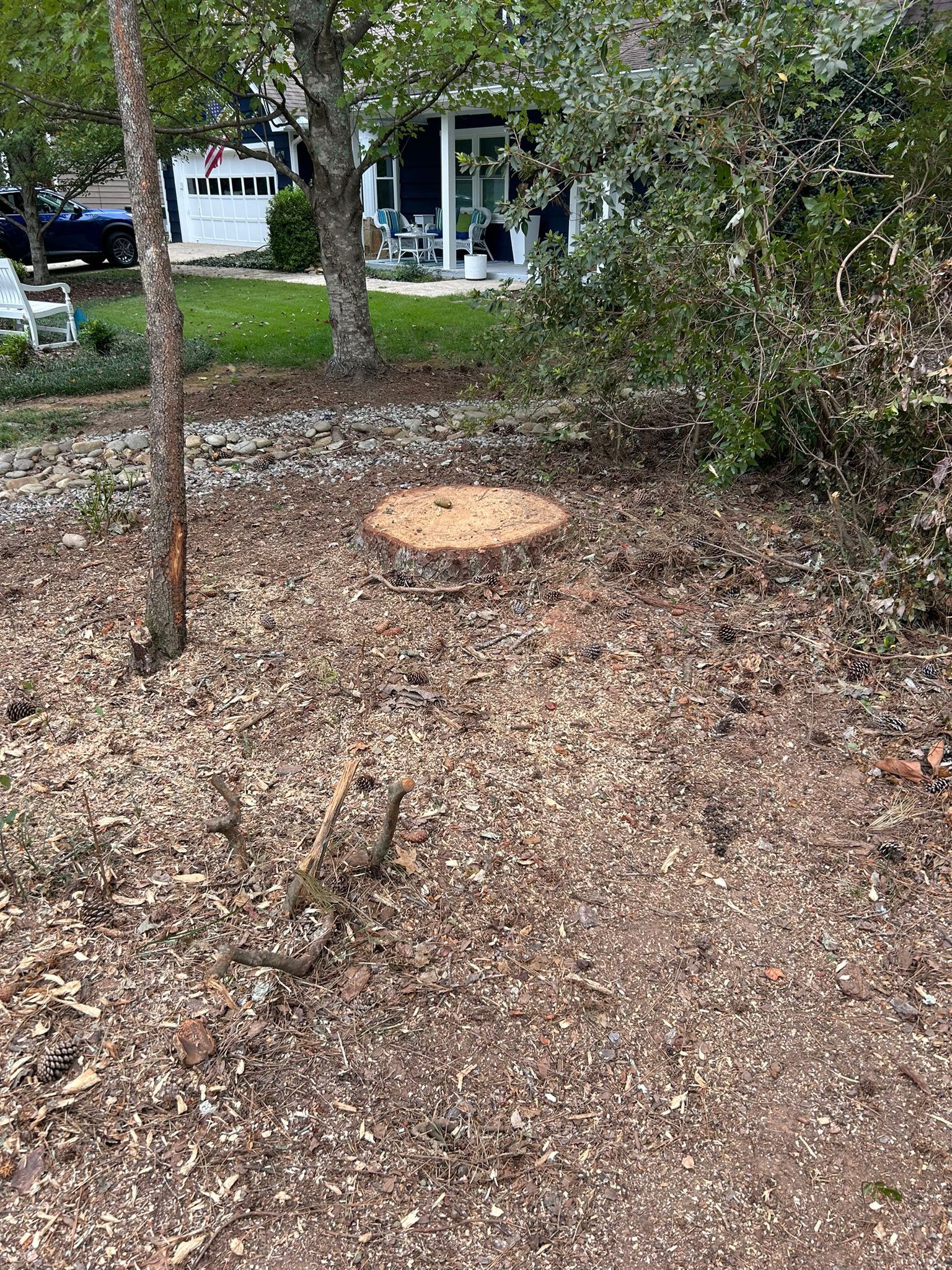 Stump Grinding