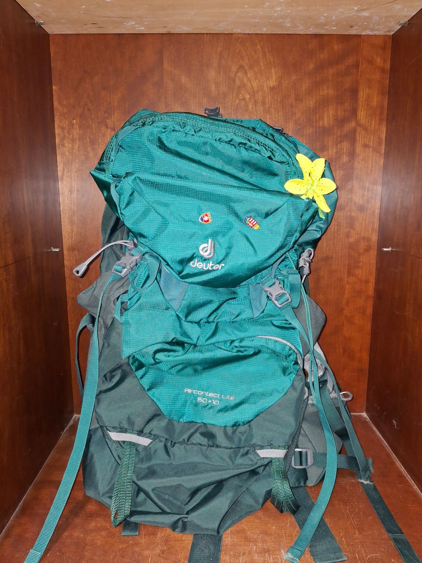 Deuter Aircontact Lite 50+10 Green Backpack