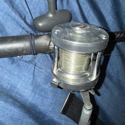 Must See Deal Fishing Reels Abu Garcia And Daiwa Alice 