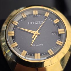Citizen Watch 365 Eco-drive