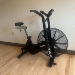 Rogue Echo Bike V 3.0