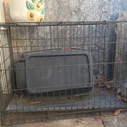 Gaula Para Perros  Y Pagaros En Buen Estado $20 Cual Kiera De Las Dos Chicas $60 La Grande